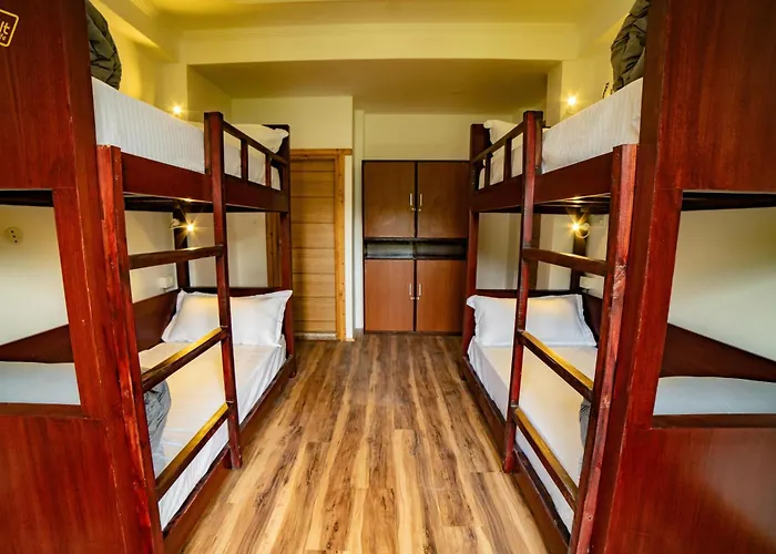 Alt Life - Manali Hostel