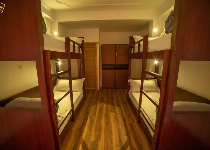 Alt Life - Manali Hostel